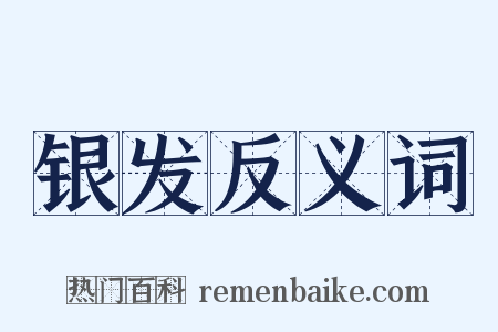 银发反义词是什么意思的图片